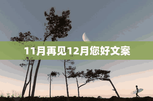 11月再见12月您好文案(11月再见12月您好文案怎么写)